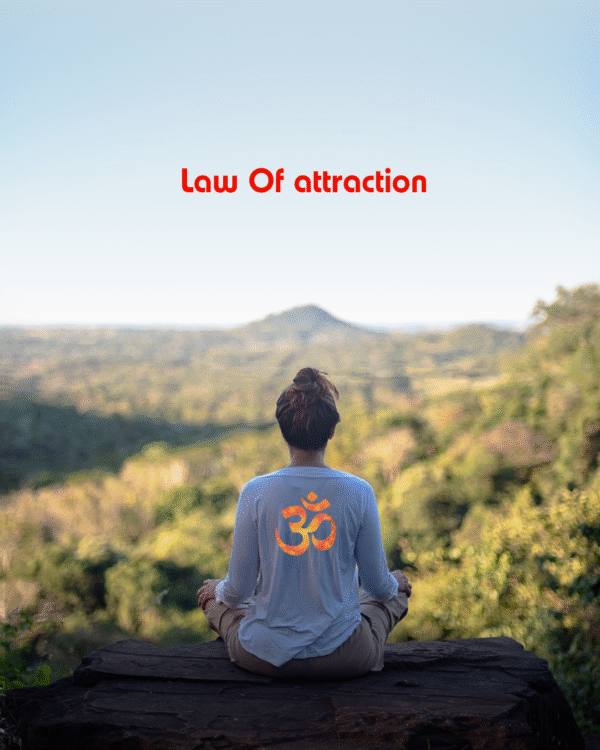 Law of Attraction Course